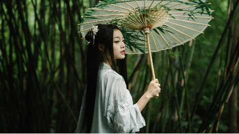 【未南】◆青蛇◆泪沾青衣诉塔前 我似等待了千年~『双版』